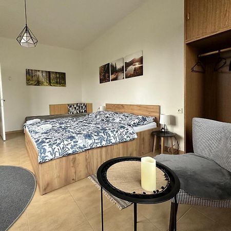 Apartman Aneta Nove Mesto Na Morave Dış mekan fotoğraf