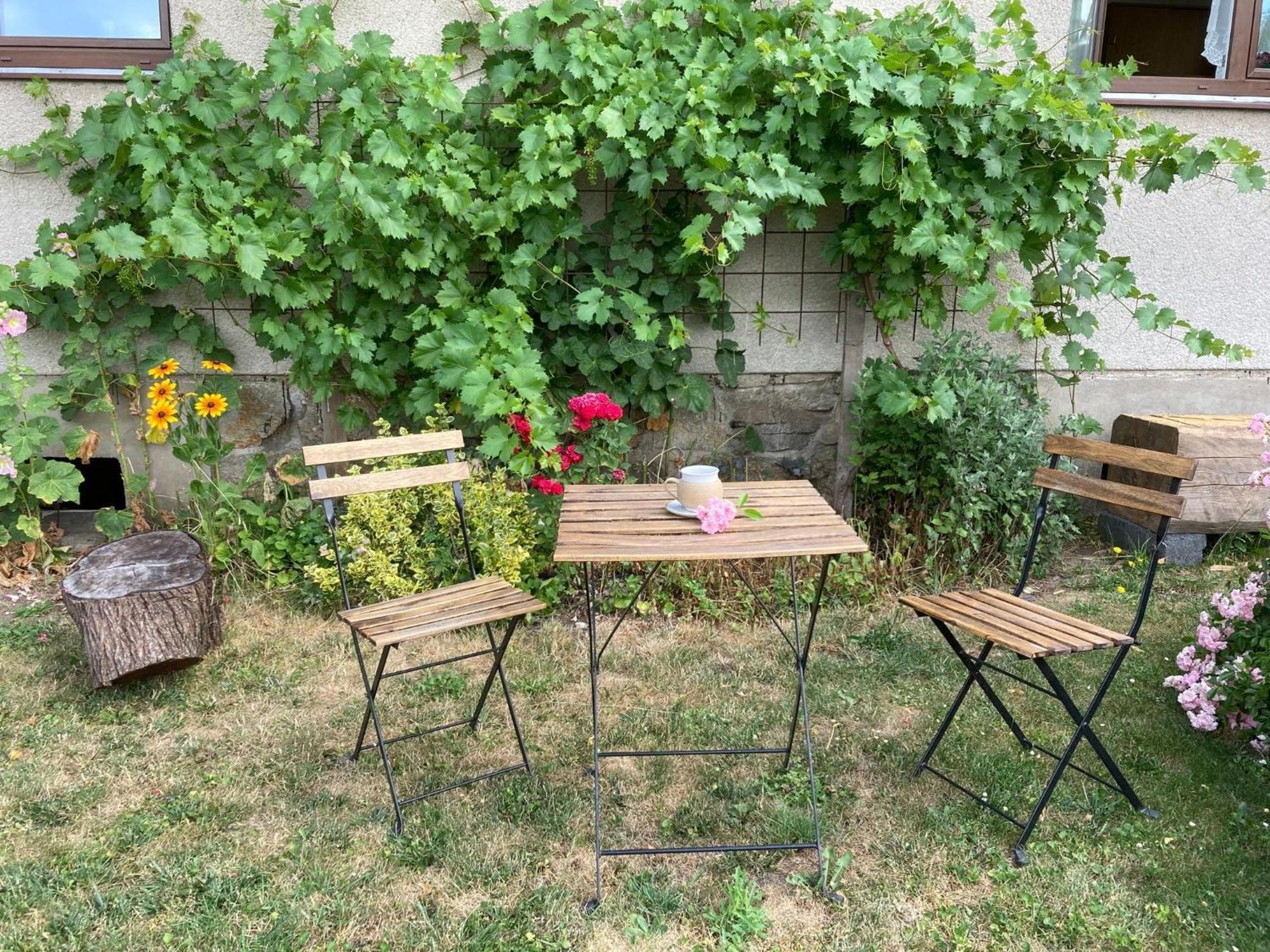 Apartman Aneta Nove Mesto Na Morave Dış mekan fotoğraf